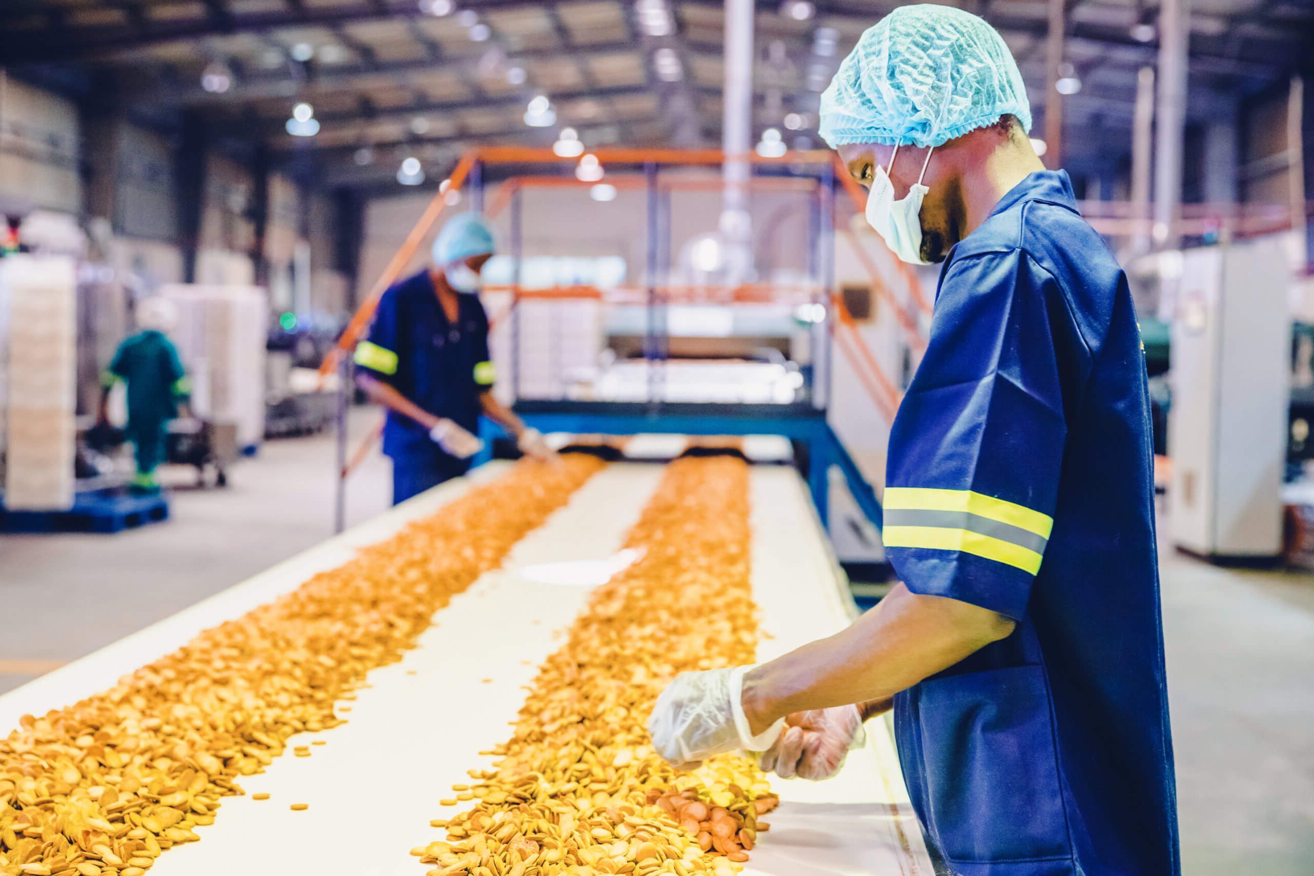 Food processing plant
